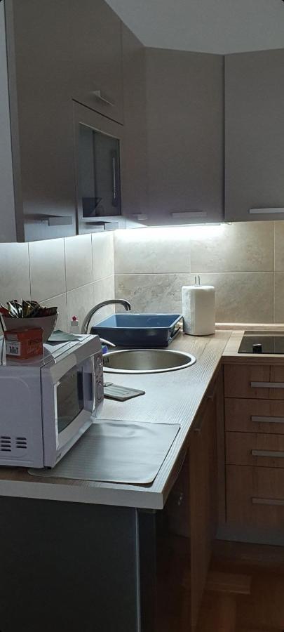 Apartman Tim Lux 1 Vrnjačka Banja المظهر الخارجي الصورة